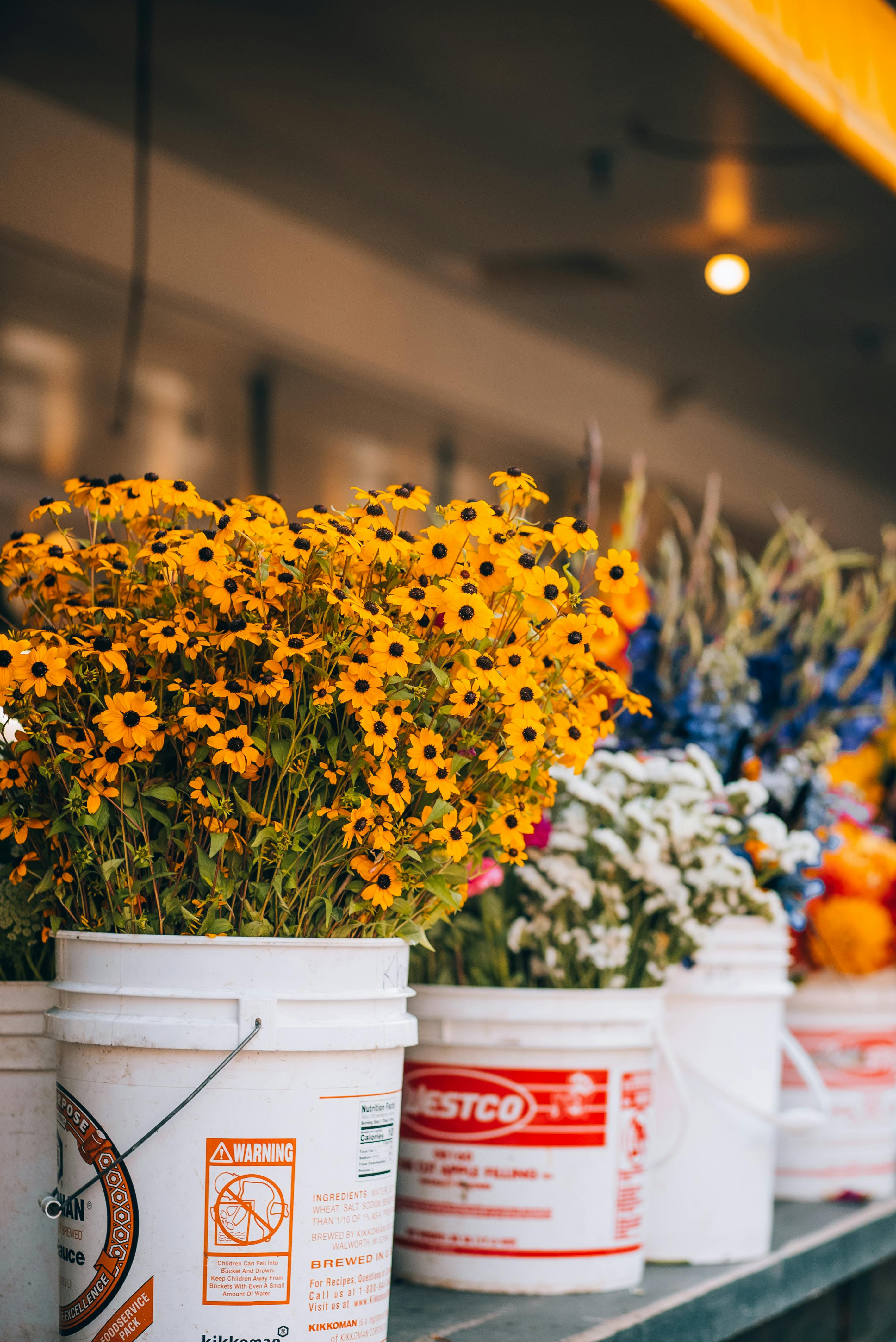 A lush arrangement of sweet blooms — roses, marigolds and jasmine from AmanFlowers